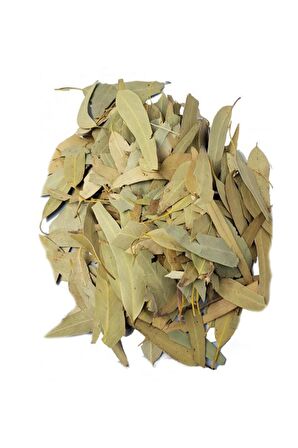 Okaliptüs Yaprağı 50 gr x 2 Adet