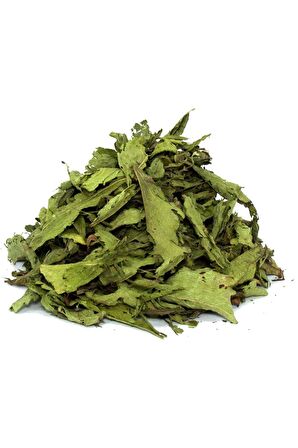 Stevia Yaprağı (Şeker Otu) 20 gr x 3 Adet