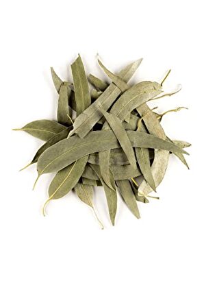 Okaliptus Yaprağı 250 gr