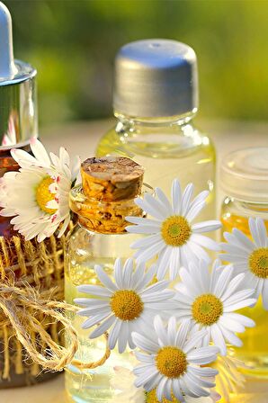 Balen Papatya Yağı (Maserasyon) 20 ml 3 Adet