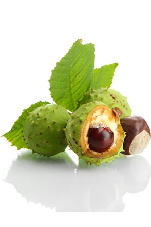 Balen At Kestanesi Ekstraktı 375 Mg 60 Kapsül 