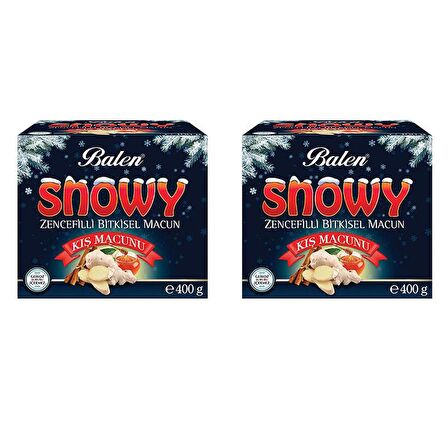 Balen SNOWY Zencefilli Kış Macunu 400 gr x 2 Adet