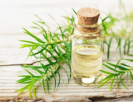 Balen Çay Ağacı Yağı-Hint Defnesi Yağı (Distilasyon) 20 ml 3 Adet