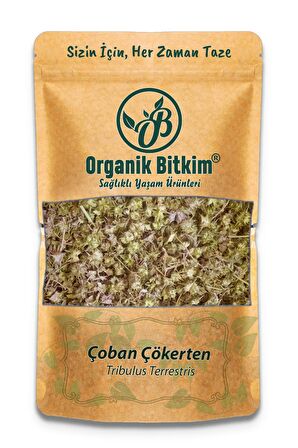 Çoban Çökerten (Tribulus) 1000 gr