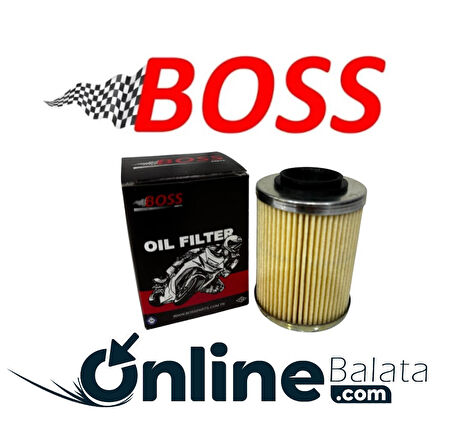Aprillia Etv Capanord 1000 Boss Yağ Filtresi OB0140