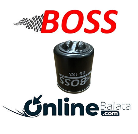 Aprillia Sr 125 Gt Boss Yağ Filtresi OB0259