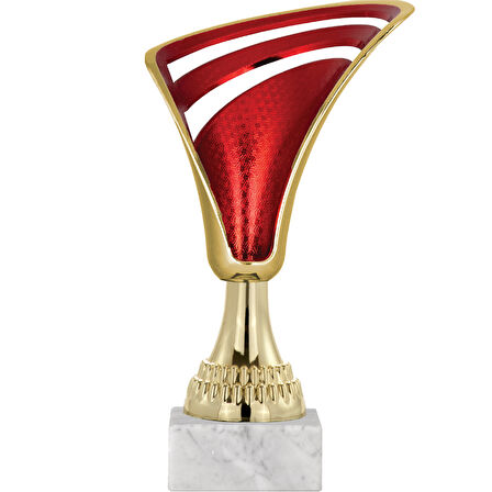 ODAK KUPA - Genel Kupalar - GN-033 A - 21 cm