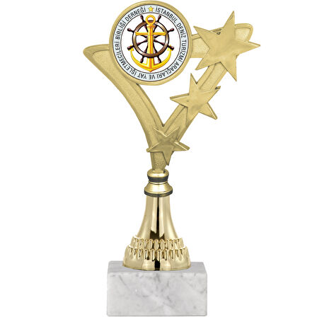 ODAK KUPA - Genel Kupalar - GN-049 B - 21 cm