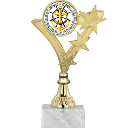 ODAK KUPA - Genel Kupalar - GN-049 C - 20 cm