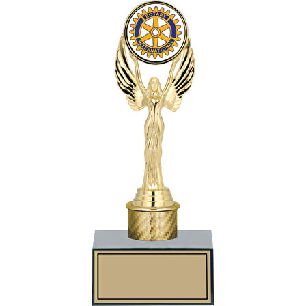 ODAK KUPA - Genel Kupalar - GN-113 B - 24 cm