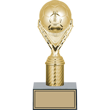 ODAK KUPA - Genel Kupalar - GN-153 A - 22 cm