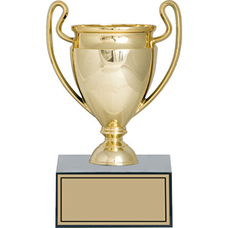 ODAK KUPA - Genel Kupalar - GN-231 B - 20 cm