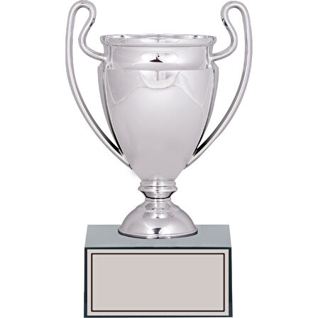 ODAK KUPA - Genel Kupalar - GN-232 A - 21 cm