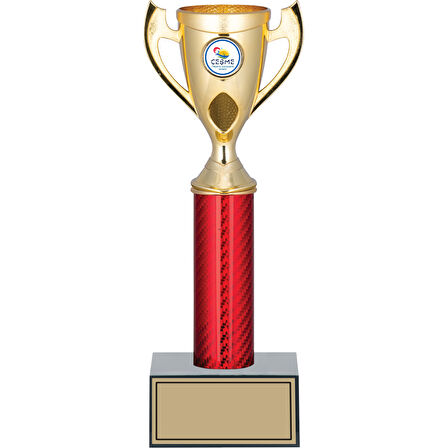 ODAK KUPA - Genel Kupalar - GN-235 B - 31 cm