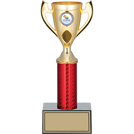 ODAK KUPA - Genel Kupalar - GN-235 C - 28 cm