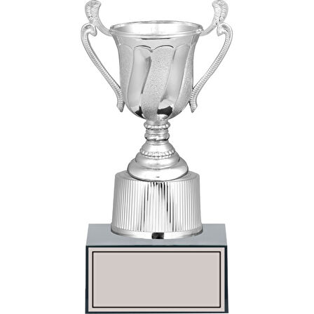 ODAK KUPA - Genel Kupalar - GN-252 A - 24 cm