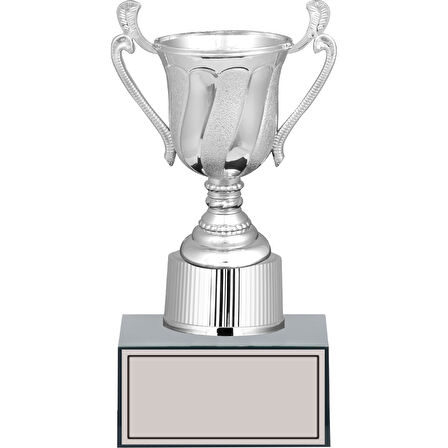 ODAK KUPA - Genel Kupalar - GN-252 B - 23 cm