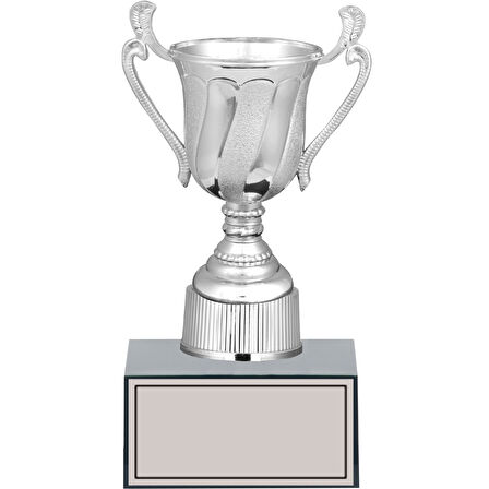 ODAK KUPA - Genel Kupalar - GN-252 C - 22 cm