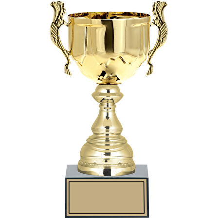 ODAK KUPA - Medium Kupalar - M-021 C - 27 cm