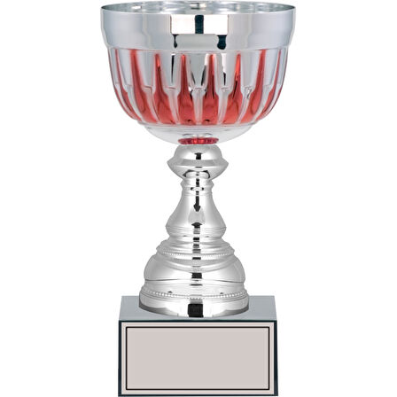 ODAK KUPA - Large Kupalar - L-037 C - 24 cm