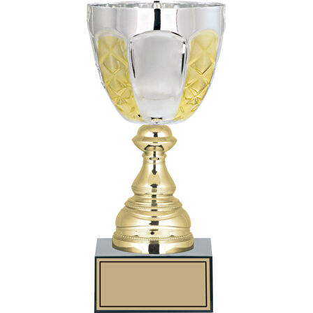 ODAK KUPA - X Large Kupalar - XL-049 C - 26 cm