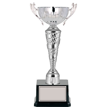 ODAK KUPA - Elit Kupalar - ELT-035 C - 42 cm