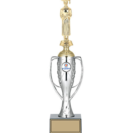 ODAK KUPA - Figürlü Kupalar - Mezuniyet Erkek Figürlü Kupalar FG-025 B - 38 cm