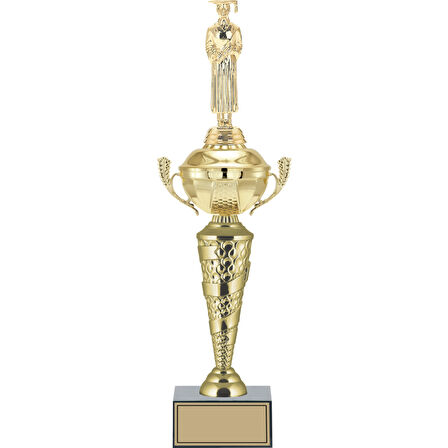 ODAK KUPA - Figürlü Kupalar - Mezuniyet Erkek Figürlü Kupalar FG-076 C - 46 cm