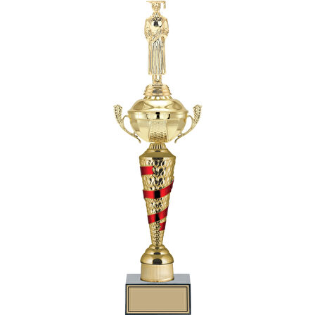 ODAK KUPA - Figürlü Kupalar - Mezuniyet Erkek Figürlü Kupalar FG-078 C - 49 cm