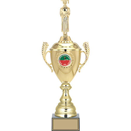 ODAK KUPA - Figürlü Kupalar - Mezuniyet Erkek Figürlü Kupalar FG-080 B - 49 cm