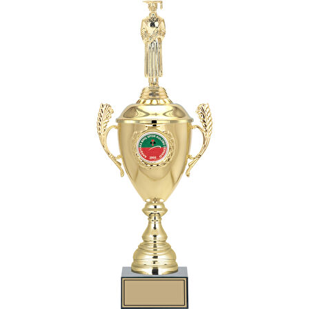 ODAK KUPA - Figürlü Kupalar - Mezuniyet Erkek Figürlü Kupalar FG-080 C - 47 cm