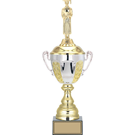 ODAK KUPA - Figürlü Kupalar - Mezuniyet Erkek Figürlü Kupalar FG-087 B - 46 cm