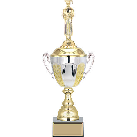 ODAK KUPA - Figürlü Kupalar - Mezuniyet Erkek Figürlü Kupalar FG-087 C - 44 cm
