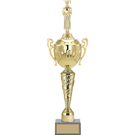 ODAK KUPA - Figürlü Kupalar - Mezuniyet Erkek Figürlü Kupalar FG-090 C - 55 cm
