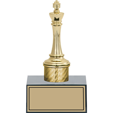 ODAK KUPA - Figürlü Kupalar - Satranç Figürlü Kupalar FG-001 B - 17 cm