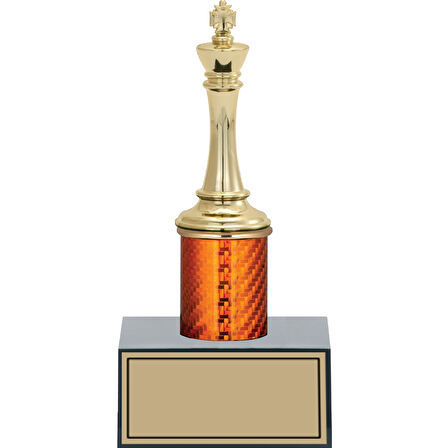 ODAK KUPA - Figürlü Kupalar - Satranç Figürlü Kupalar FG-003 B - 19 cm