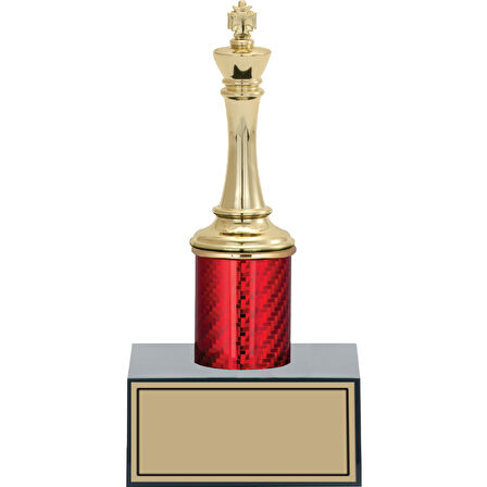 ODAK KUPA - Figürlü Kupalar - Satranç Figürlü Kupalar FG-004 C - 19 cm