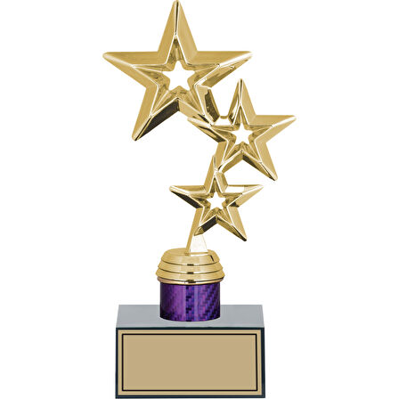ODAK KUPA - Figürlü Kupalar - Yıldız Figürlü Kupalar FG-002 C - 23 cm
