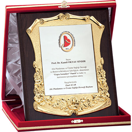 ODAK KUPA - Özel Plaketler - LX-015 A - 20x25 cm