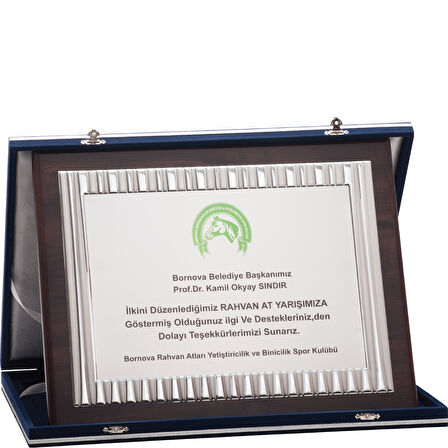 ODAK KUPA - Özel Plaketler - LX-030 A - 30x38 cm