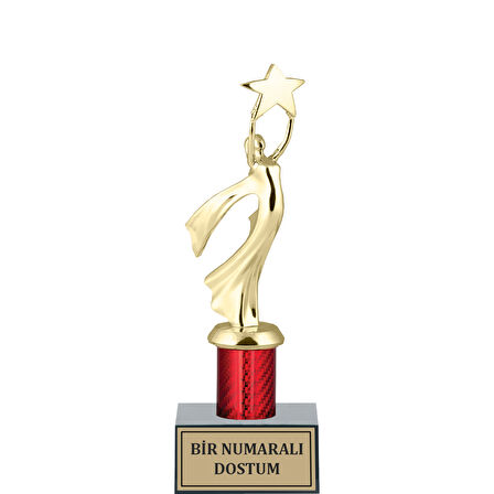 ODAK KUPA - Hediyelik Ürünler - HDY-027 - 28 cm