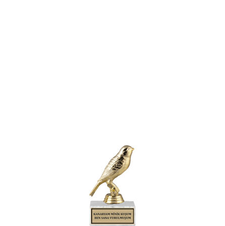 ODAK KUPA - Hediyelik Ürünler - HDY-064 - 11 cm