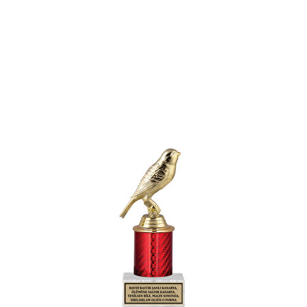 ODAK KUPA - Hediyelik Ürünler - HDY-066 - 16 cm