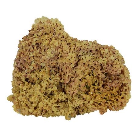 Deniz Kadayıfı Doğal Yerli 100 Gr Paket - OEM458-10201