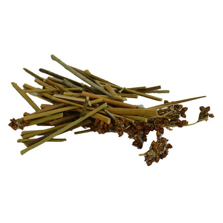 Kayışkıran Otu Doğal 100 Gr Paket - OEM458-10827