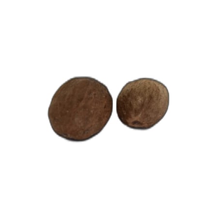 Hint Cevizi Muskat Küçük Hindistan Cevizi Doğal 10 gr Paket - OEM458-11048