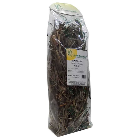 Sinirli Yaprak Otu Sinirli Ot Doğal 50 Gr Paket - OEM458-7558