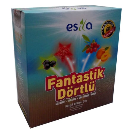Fantastik Dörtlü Bitkisel Yaz Çayı 45 Süzen Poşet - OEM458-7565