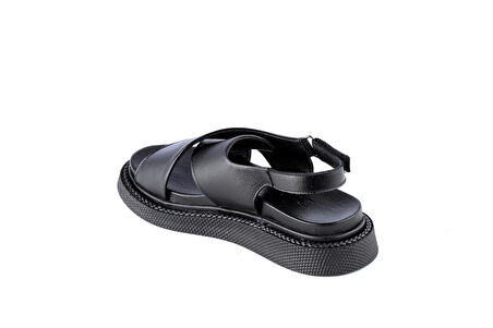 Dexter OFL1073-311-1