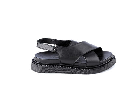 Dexter OFL1073-311-1